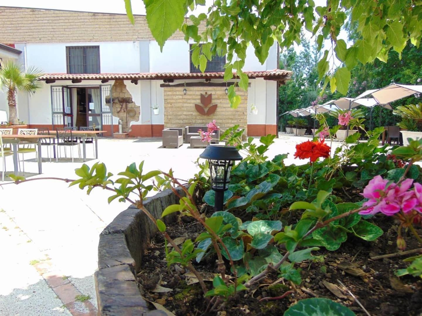 Bed and Breakfast Casale Rurale San Marco Evangelista Exterior foto