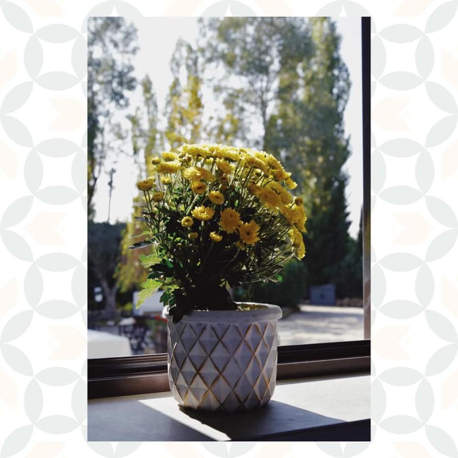 Bed and Breakfast Casale Rurale San Marco Evangelista Exterior foto